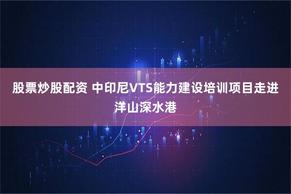 股票炒股配资 中印尼VTS能力建设培训项目走进洋山深水港