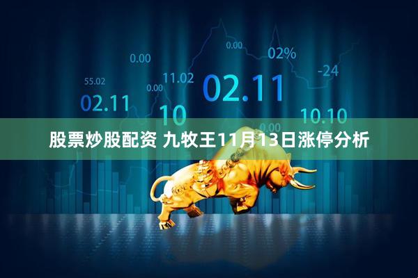 股票炒股配资 九牧王11月13日涨停分析