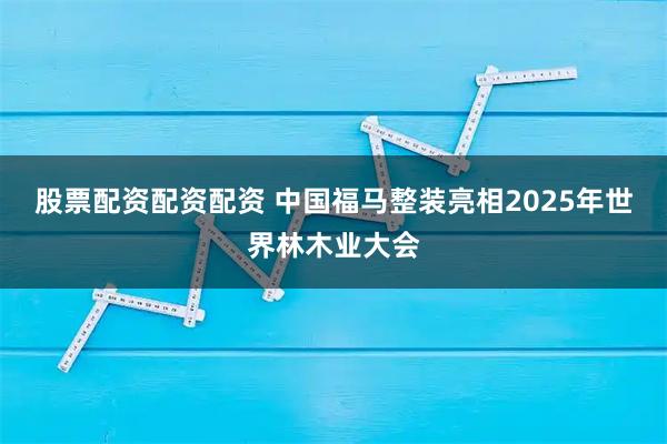 股票配资配资配资 中国福马整装亮相2025年世界林木业大会