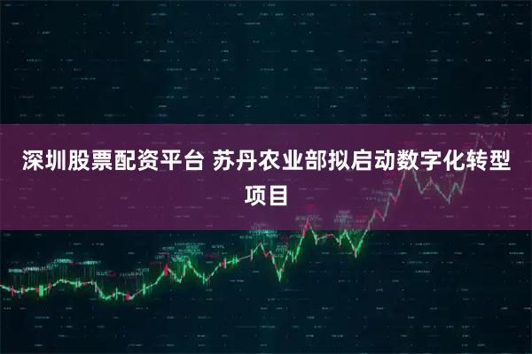 深圳股票配资平台 苏丹农业部拟启动数字化转型项目