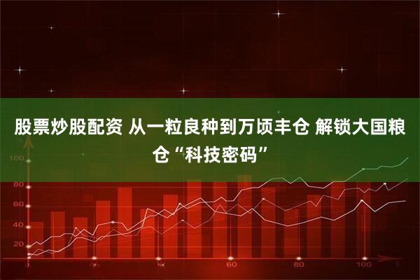 股票炒股配资 从一粒良种到万顷丰仓 解锁大国粮仓“科技密码”