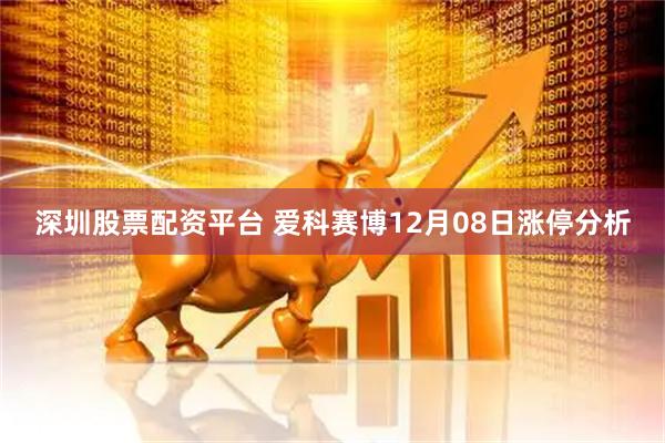 深圳股票配资平台 爱科赛博12月08日涨停分析
