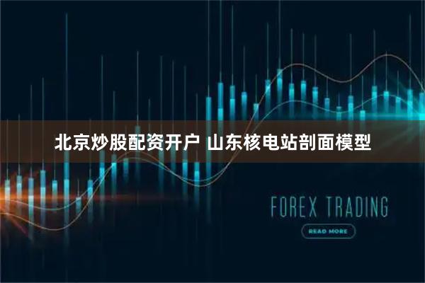 北京炒股配资开户 山东核电站剖面模型
