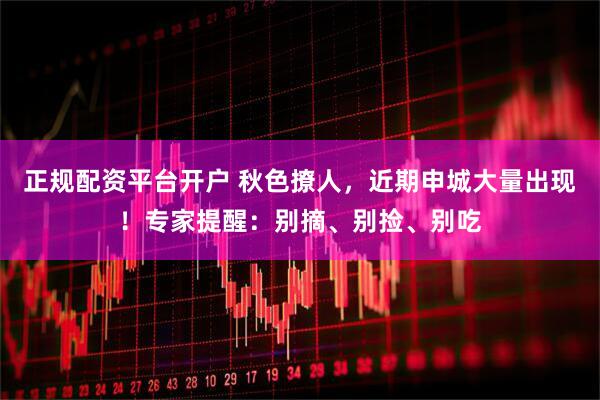 正规配资平台开户 秋色撩人，近期申城大量出现！专家提醒：别摘、别捡、别吃